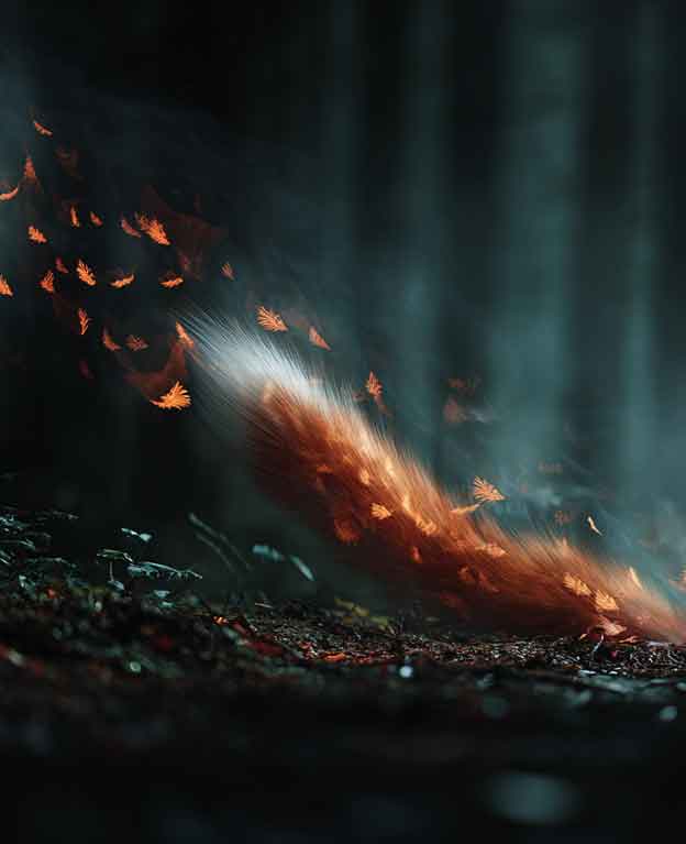 deep wood setting with bright red fox tail disappearing into burrow