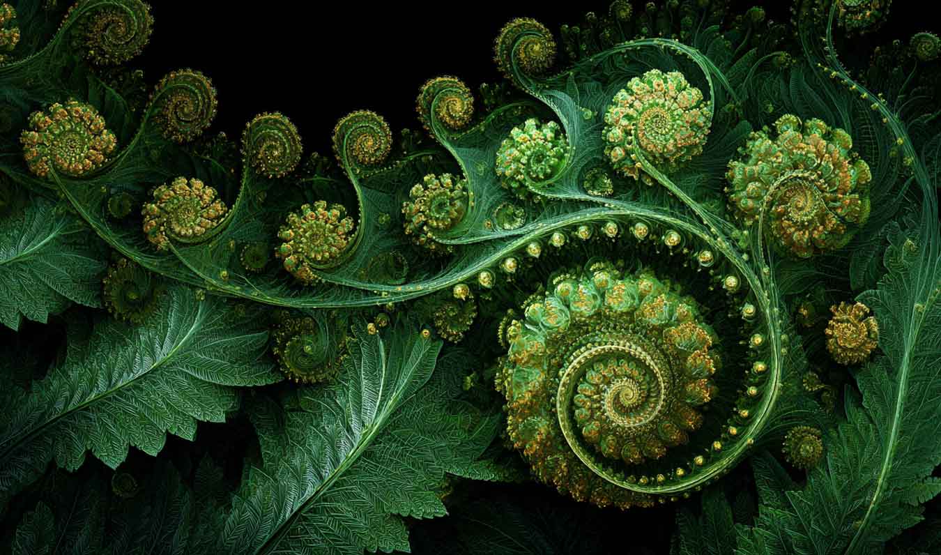 verdant green lush forest fern fronds