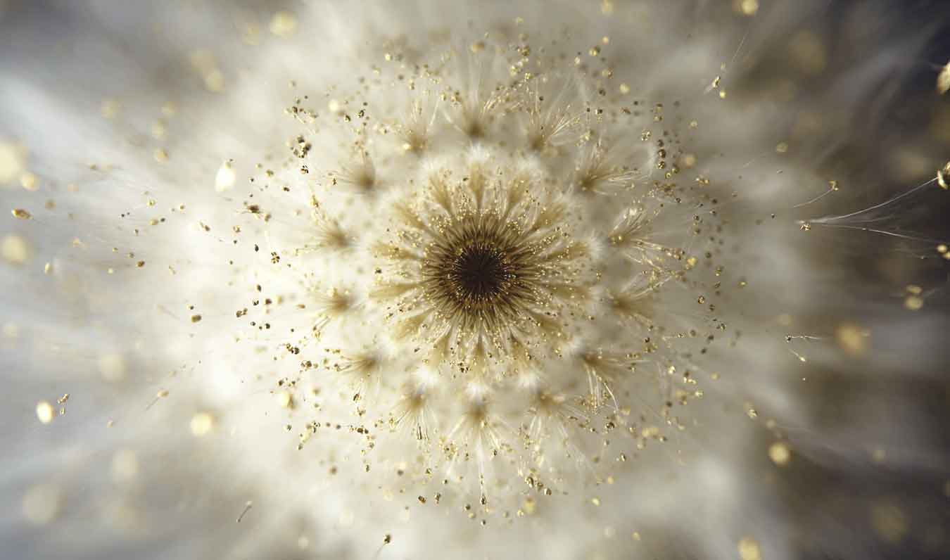 a glowing pollen dispersal mandala field