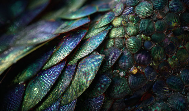 Add Image Description