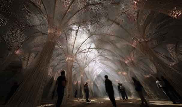 ethereal network of underground mycelial signals through roof