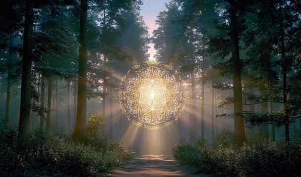 lush forest path with central glowing mandala reflections
